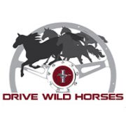 (c) Drivewildhorses.com